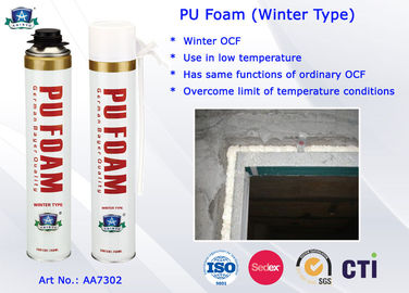 Winter Type PU Foam Spray